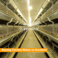 China Zuverlässige Hersteller Automatische Pullet Ausrüstung für Layer Farm